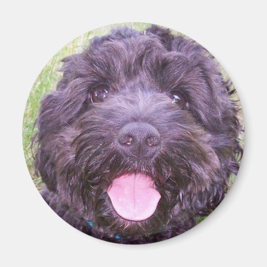 glimlachend puppy magneet (Voorkant)