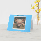 Glimlachend varken, hoe gaat het? kaart (Gele Bloem)