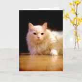 Glimlachend wit kattenwenskaart kaart (Gele Bloem)