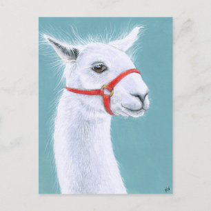 Glimlachend wit Llama briefkaart