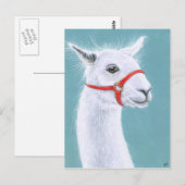 Glimlachend wit Llama briefkaart (Voorkant / Achterkant)