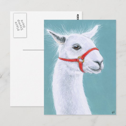 Glimlachend wit Llama briefkaart (Voorkant / Achterkant)