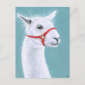Glimlachend wit Llama briefkaart (Voorkant)