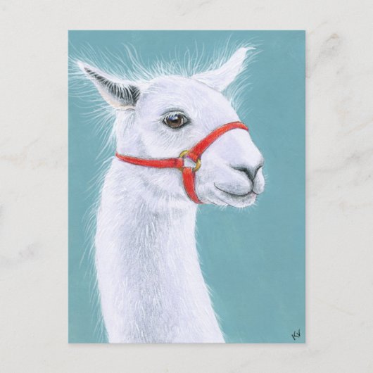 Glimlachend wit Llama briefkaart (Voorkant)