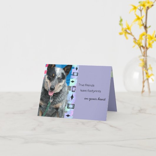 Glimlachende Australische veestapel Verjaardag Gro Kaart (Gele Bloem)