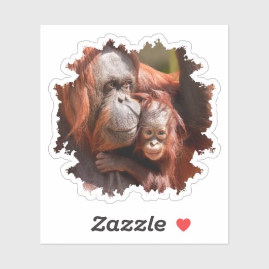Glimlachende Baby Orangutan in moeders armen Sticker (Vel)