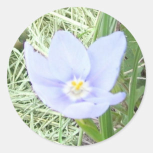 Glimlachende Blauwe Wildflower Stickers
