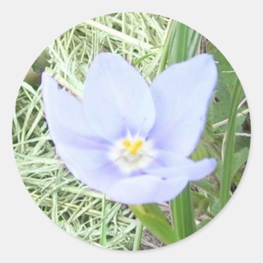 Glimlachende Blauwe Wildflower Stickers (Voorkant)