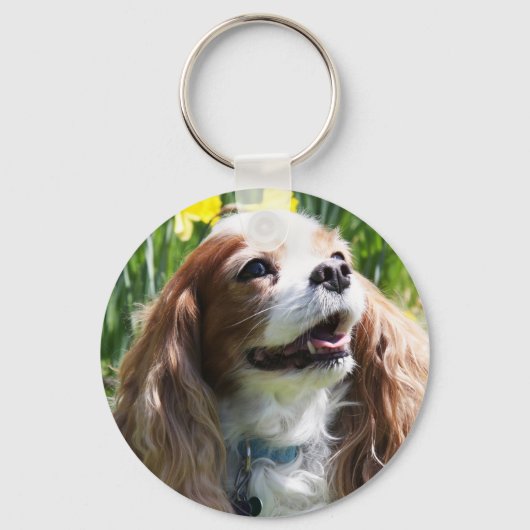 Glimlachende Blenheim Cavalier King Charles Spanie Sleutelhanger (Voorkant)