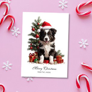 Glimlachende Border Collie Kerstmis Puppy geperson Feestdagenkaart