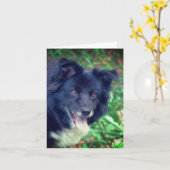 Glimlachende Border Collie Schattigee hond geperso Kaart (Gele Bloem)