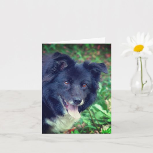 Glimlachende Border Collie Schattigee hond geperso Kaart (Kleine Plant)
