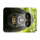Glimlachende Crested Celebes Macaque Monkey Magneet (Horizontaal)