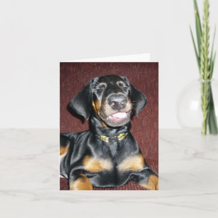 Glimlachende Dobermann Pinscher Puppy - Leeg Notit Kaart