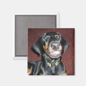 Glimlachende Dobermann Pinscher Puppy Magneet (Voorkant / Achterkant)