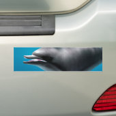 Glimlachende dolfijn bumpersticker (Op auto)