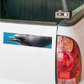 Glimlachende dolfijn bumpersticker (Op Truck)