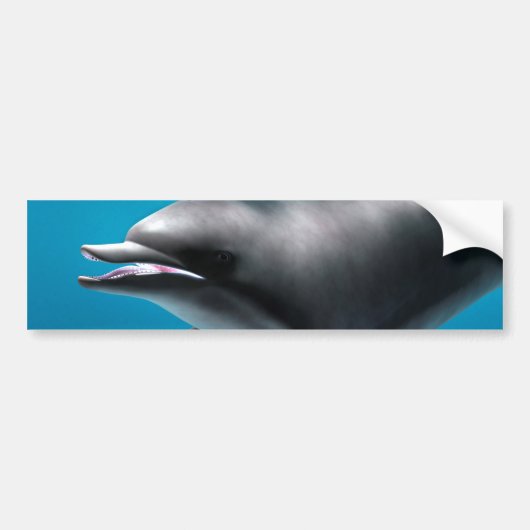 Glimlachende dolfijn bumpersticker (Voorkant)