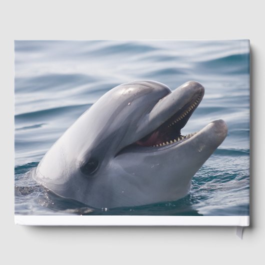 Glimlachende dolfijn in het water gastenboek (Achterkant)