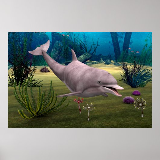 Glimlachende dolfijn poster (Voorkant)