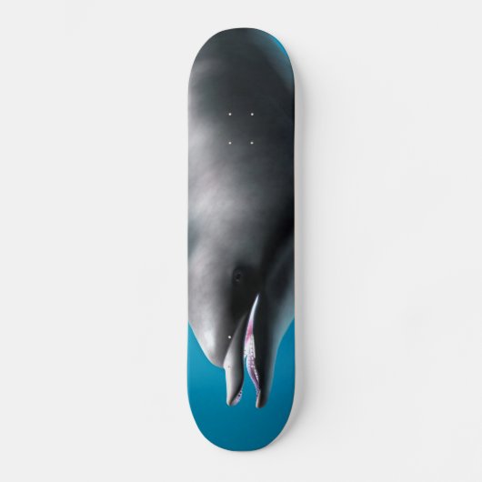 Glimlachende Dolfijn Skateboard (Voorkant)