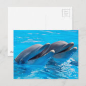 Glimlachende Dolfijnen Briefkaart (Voorkant / Achterkant)