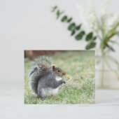 glimlachende eekhoorn met madeliefje briefkaart (Staand voorkant)