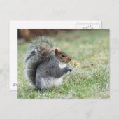 glimlachende eekhoorn met madeliefje briefkaart (Voorkant / Achterkant)