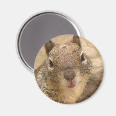 Glimlachende Eekhoorn ronde magneet (Voorkant / Achterkant)