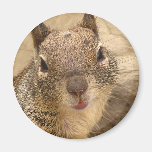 Glimlachende Eekhoorn ronde magneet (Voorkant)