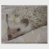 Glimlachende Egel Cadeaupapier (Vlak)
