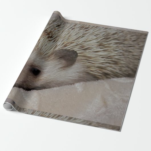 Glimlachende Egel Cadeaupapier (Uitgerold)