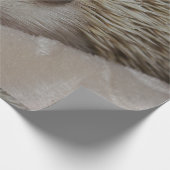 Glimlachende Egel Cadeaupapier (Hoek)