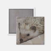 Glimlachende Egel Magneet (Voorkant / Achterkant)