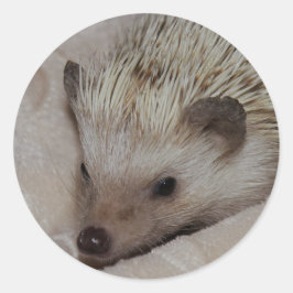 Glimlachende Egel Ronde Sticker