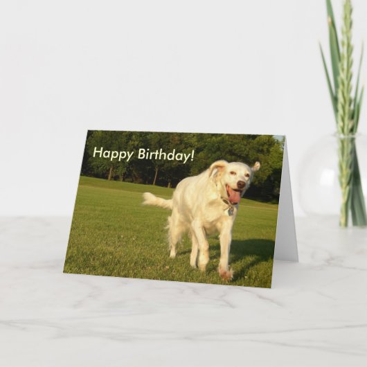 Glimlachende engel, gelukkige verjaardag! kaart (Voorkant)