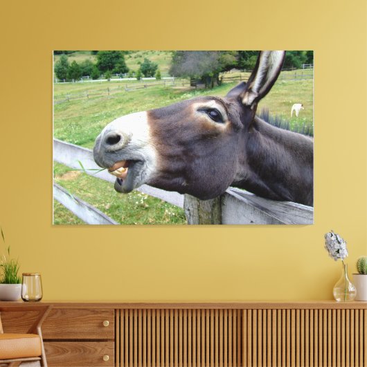 Glimlachende Ezel in weiland met hond Canvas Afdruk (Insitu (Woonkamer))