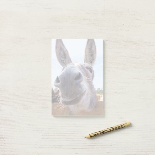 Glimlachende ezel Post-It Notes (Op bureau)