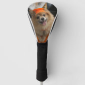 glimlachende Foxy Pomeranian Puppy in Pumpkin Hall Golfheadcover (Voorkant)