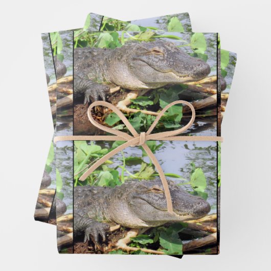 Glimlachende Gator Wrapping Papier Bladen Inpakpapier Vel (In situ)