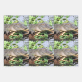 Glimlachende Gator Wrapping Papier Bladen Inpakpapier Vel (Voorkant 3)