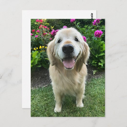 Glimlachende Gouden Retriever met Bloemen Dank Je Briefkaart (Voorkant / Achterkant)