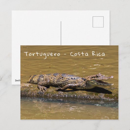 Glimlachende krokodil in Tortuguero - Costa Rica Briefkaart (Voorkant / Achterkant)