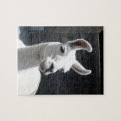 Glimlachende Lama Puzzel (Horizontaal)
