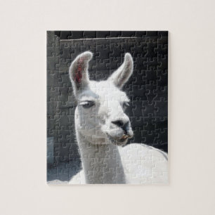 Glimlachende Lama Puzzel