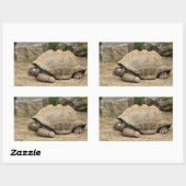 Glimlachende landschildpad rechthoekige sticker (Vel)