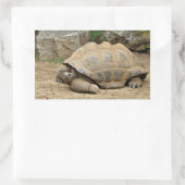 Glimlachende landschildpad rechthoekige sticker (Tas)