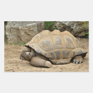 Glimlachende landschildpad  rechthoekige sticker