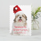 Glimlachende Lhasa Apso-hond met kerstmannenhoed Feestdagenkaart (Staand voorkant)
