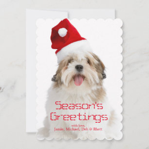 Glimlachende Lhasa Apso-hond met kerstmannenhoed Feestdagenkaart